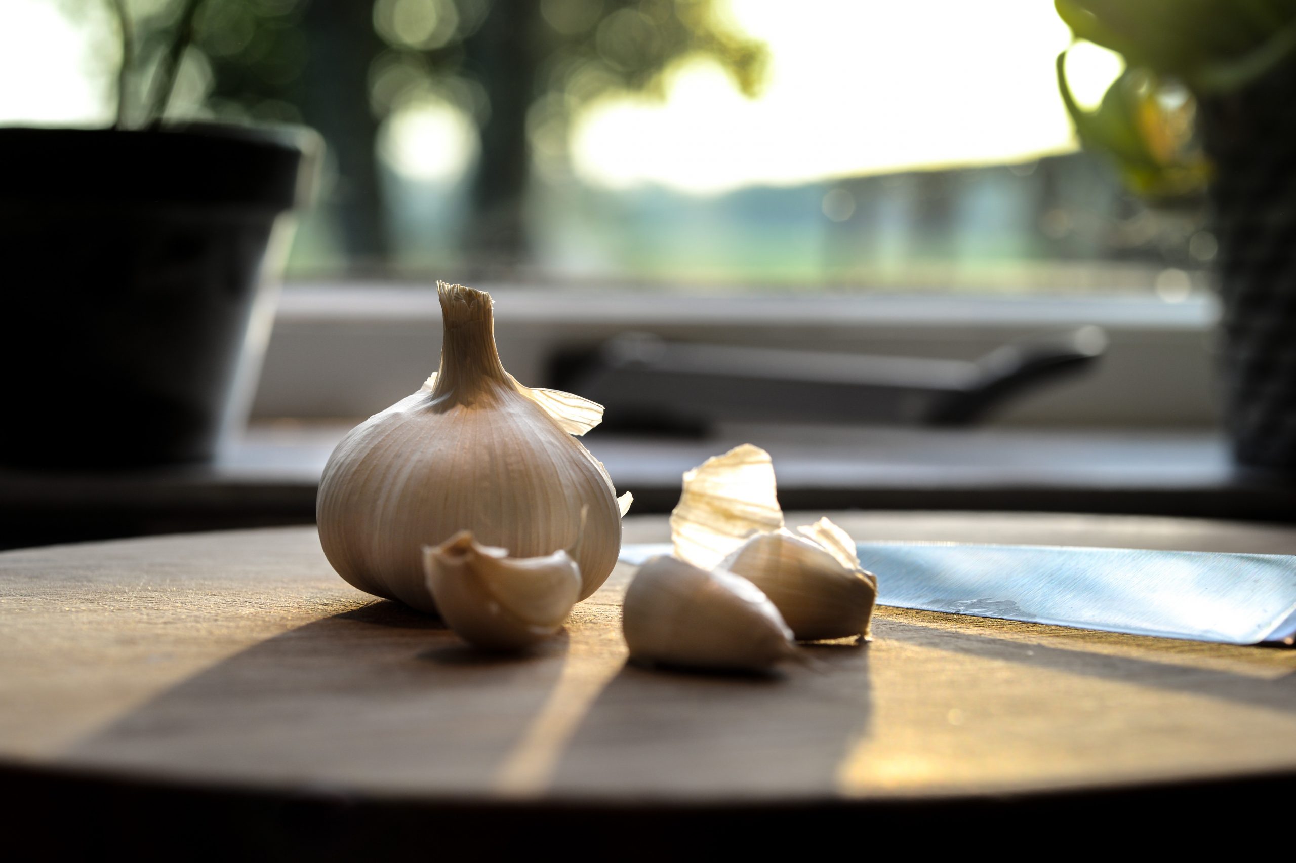 Hidden benefits of garlic acroamatic