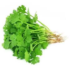 Coriander is considered useful for digestive and bone diseases