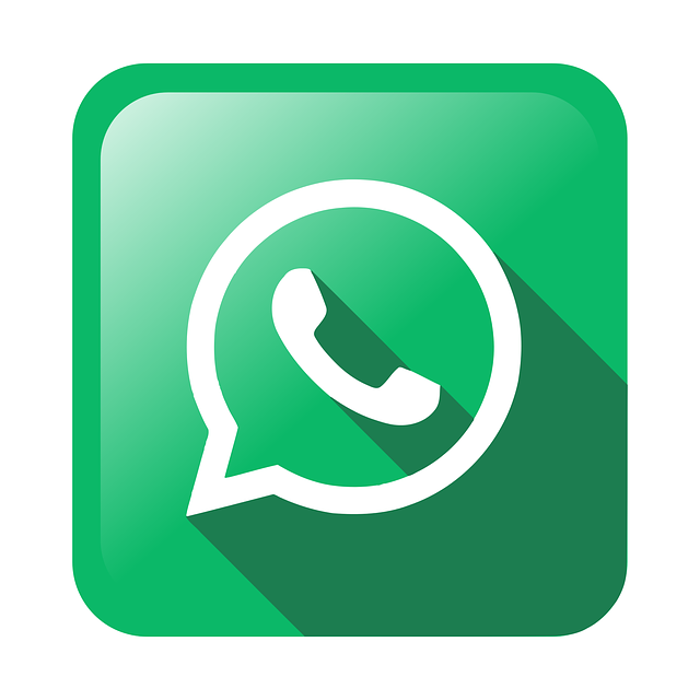 San Francisco: WhatsApp has decided to introduce another unique feature for users.