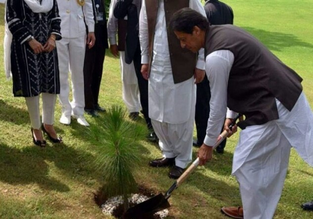 ISLAMABAD: Prime Minister Imran Khan has made a final decision to participate in the tree planting drive in all the four provinces۔