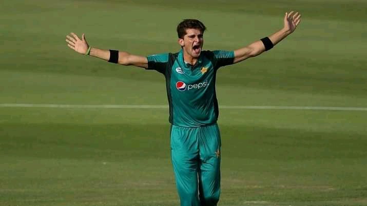 Fast bowler Shaheen Shah Afridi’s statement came to light after the defeat to Australia.