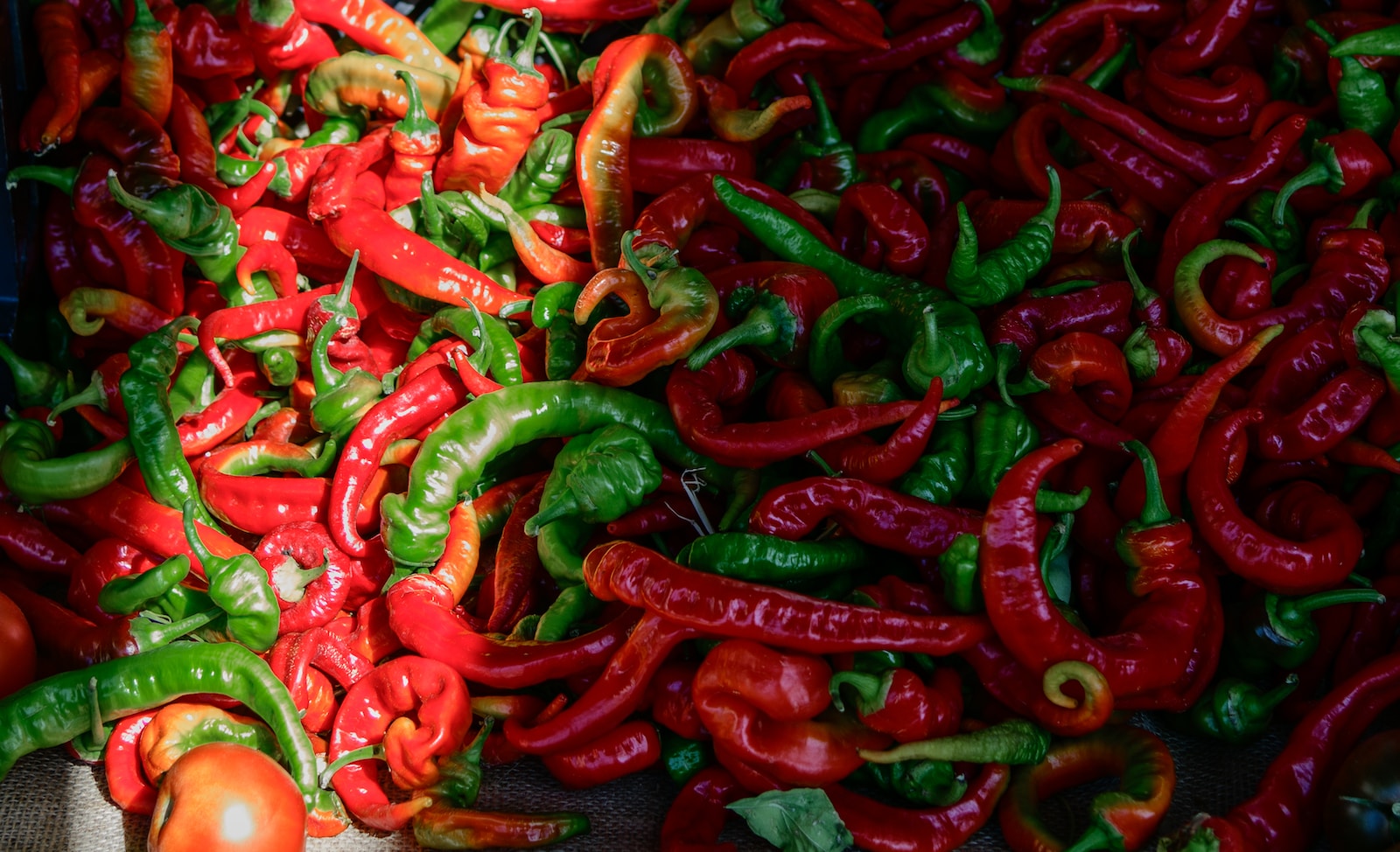 bunch of green and red chilies
