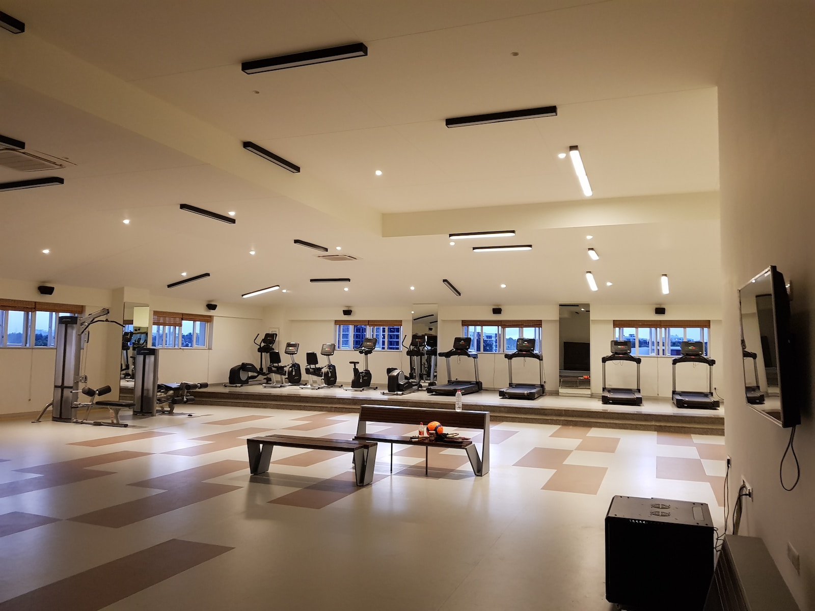 Fitness clubs that provide services for physical exercises.