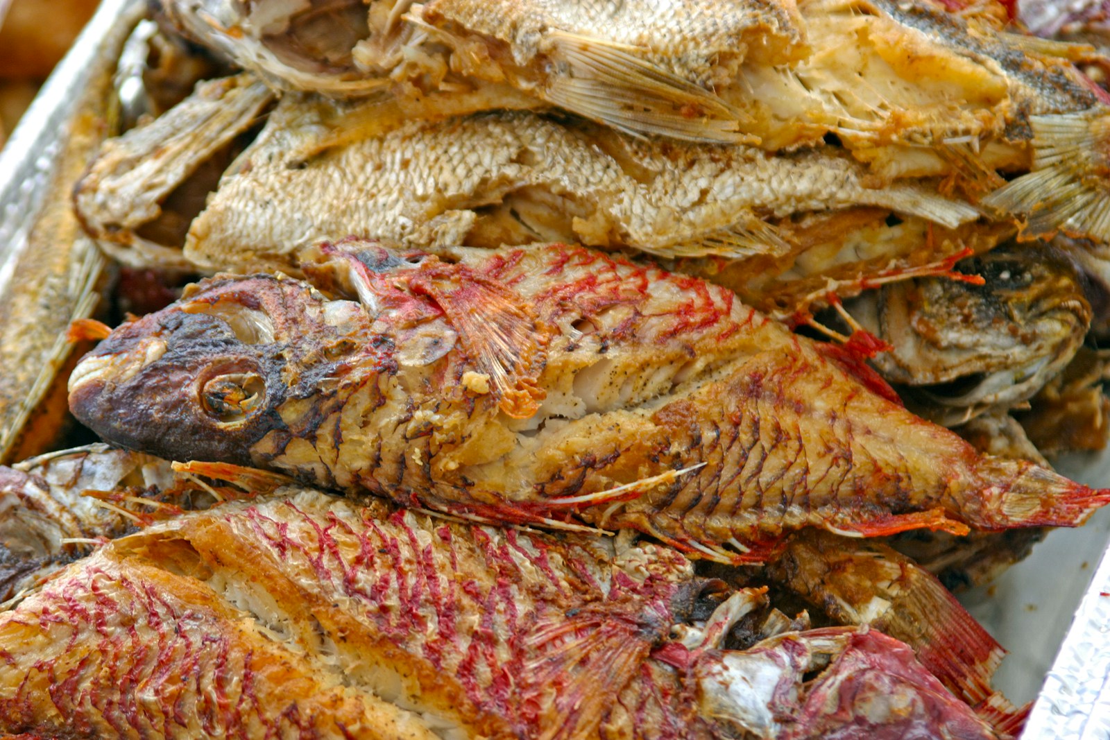 Most Stunning Valuable Health of Fish Meat.